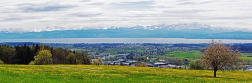 Spring meadow on Lake Constance with a view of the Alps in foehn weather, taken on the Gehrenberg
