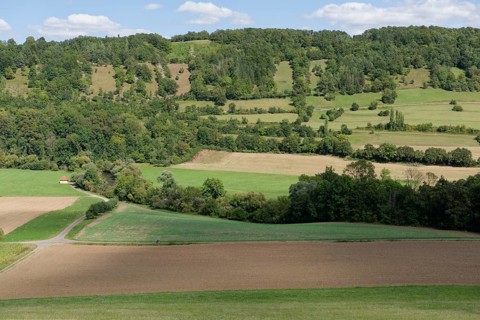 Jagst valley near Mulfingen, August, summer, Jagst slope, river slope, Jagst valley slope, Jagst,