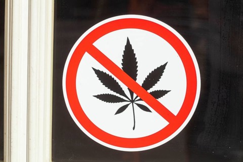 Sign smoking marijuana joints (cannabis sativa) prohibited on a pub window, cannabis prohibition,