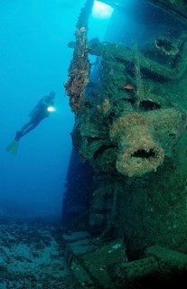 Diver in the Patricia shipwreck, Parapriacanthus ransonneti, Punta Cana, Caribbean Sea, Dominican