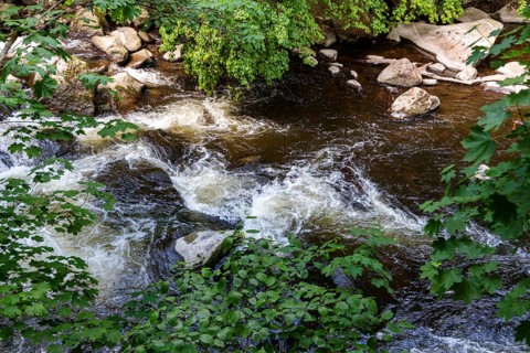 Pictures from the Bodetal Harz near Thale
