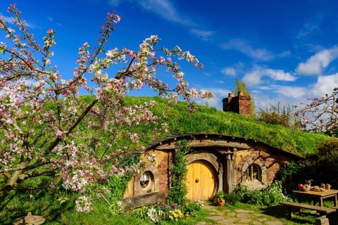 Hobbiton Movie Set of Shire in The Lord of the Rings and The Hobbit trilogies in Matamata, New