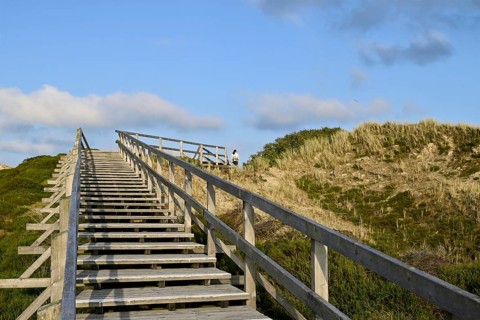 Boardwalk in the Amrum dunes nature reserve near Norddorf, Amrum, North Frisian Island, North