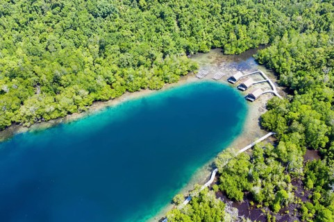 Aerial view of Janggelo Island, Raja Ampat, West Papua, Indonesia, Asia
