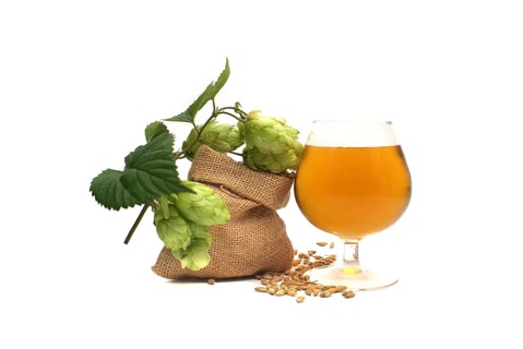 Elegant glass of chilled lager or draft with frothy head alongside sprig of green hops and barley