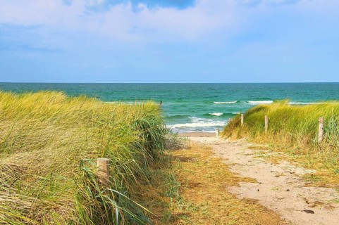 Dune crossing on the beach at Zingst. Dune grass, white sand and the blue Baltic Sea. Landscape