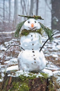 Snowman on a tree stump with a carrot for a nose, buttons, a branch for arms and pine needles for