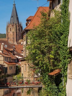 View of a historic town with church tower, river and houses overgrown with ivy, Weissenburg,