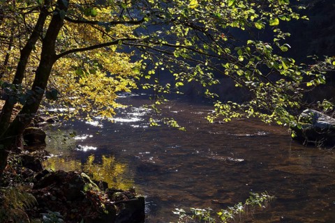 Fluss Ilz im Bayerischen Wald, Fluss Ilz im Bayerischen Wald