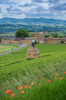 Bagnols village and landscape, Beaujolais, France, Europe