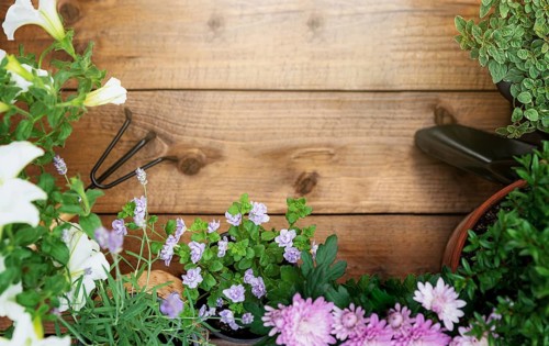 Top view on gardening, landscaping tools and equipment, different flowers and various herbs in pots