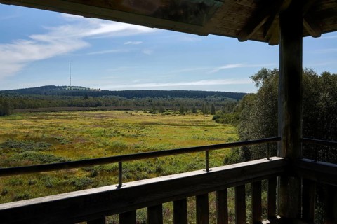 Rotes Moor, view from the observation tower of the former peat extraction area, now renaturalised