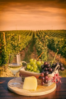 Glass of white wine with grapes in a basket and cheese in front of a vineyard at sunset