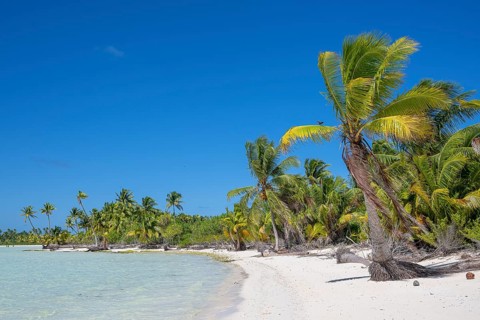 Long beach with coconut palms (Cocos nucifera) invites you to swim, private island, bird island,