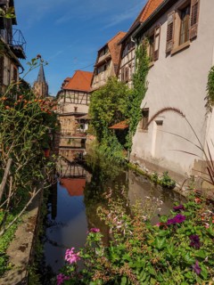 A picturesque village with a river, flowers along the banks and reflective old buildings,