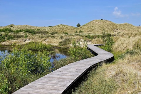 Boardwalk in the Amrum dunes nature reserve near Wittdün, Amrum, North Frisian Island, North