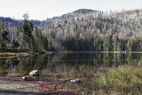 Rachelsee, Bavarian Forest, lake in bavarian forest