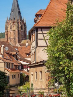 A village with a striking church tower, surrounded by old houses and lush plants, Weissenburg,