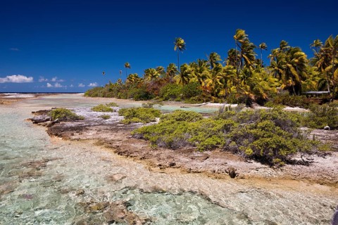 Tetamanu Village Lagoon, Fakarava, Tuamotu Archipelago, French Polynesia, Oceania