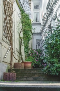 Narrow courtyard with a few steps, surrounded by green foliage and a white building in the
