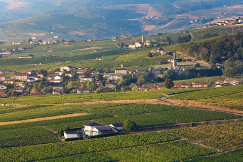 Village of Odenas at sunrise, Beaujolais land, France, Europe
