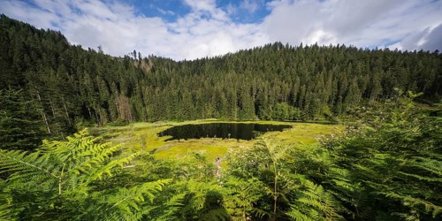 Lake Huzenbach in the northern Black Forest