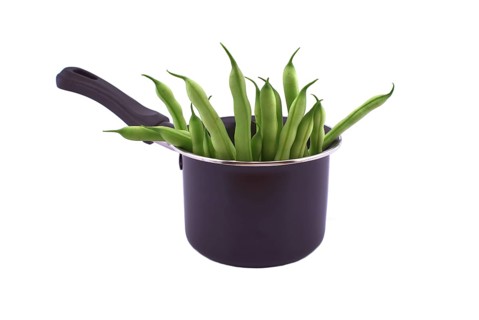 A handful of green beans in the pot isolated on white background. Healthy, nutritious vegetarian