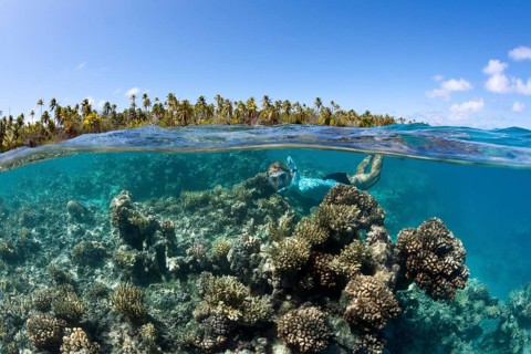 Snorkelling in French Polynesia, Apataki Atoll, Tuamotu Archipelago, French Polynesia, Oceania