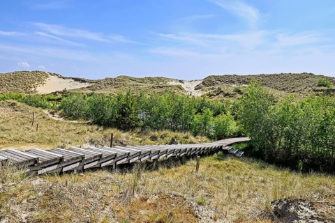 Boardwalk in the Amrum dunes nature reserve near Wittdün, Amrum, North Frisian Island, North