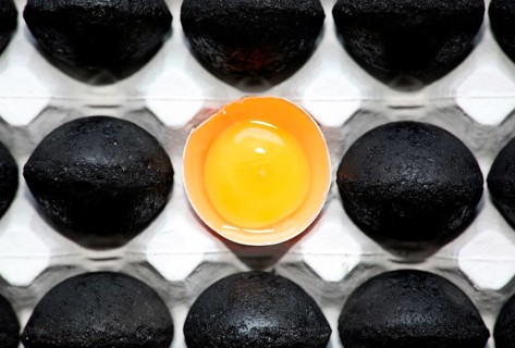Egg charcoal with a real egg in an egg carton