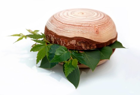 Vegan hamburger, symbolic image