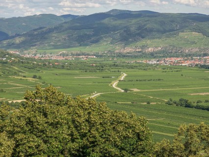 Green landscape with extensive fields and hilly surroundings, Dürnstein, Wachau, Danube, Austria,