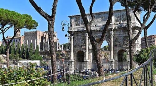 Pine trees and Constantine's Arch