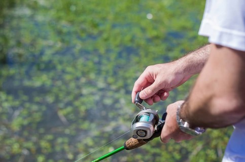 Young man fishing in pond, lake, closeup of fishing rod and reel