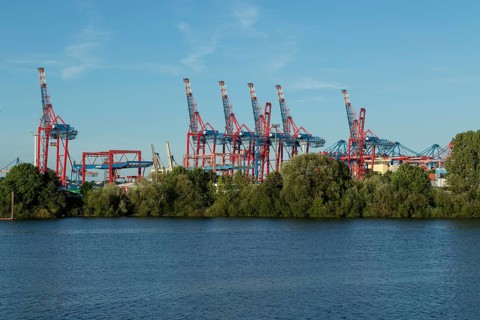 View from Finkenwerder of green vegetation on the banks of the Elbe, with cranes and container