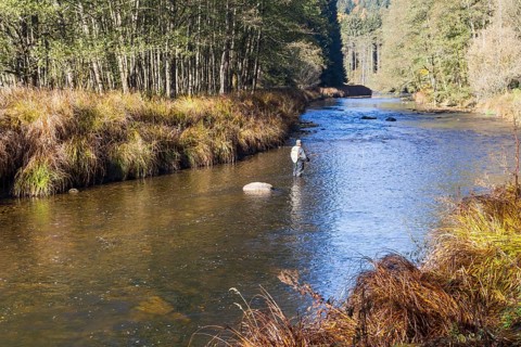 Fluss Ilz im Bayerischen Wald, Fluss Ilz im Bayerischen Wald