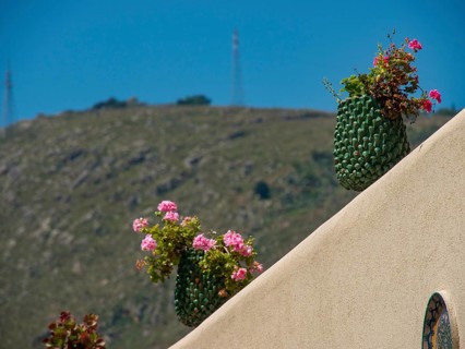 Flowers in green pots on a beige wall, with an overgrown hill in the background, palermo, sicily,