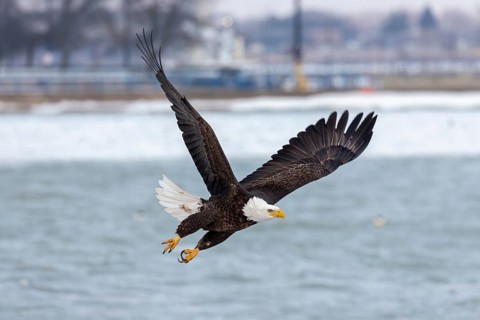 Natural scene from shore of lake Michigan