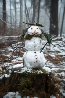 Snowman on a tree stump with a carrot for a nose, buttons, a branch for arms and pine needles for