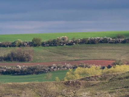 Thuringian basin with hedges and fields during a thunderstorm