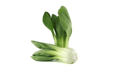 Pak choi, also known as bok choi or pok choi type of Chinese cabbage isolated on white background