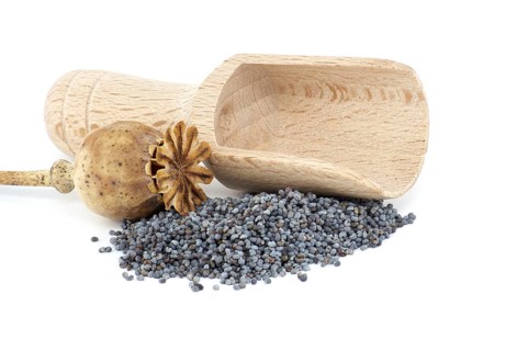 Poppy seed pods and seeds in wooden scoop on white isolated on white background, full depth of