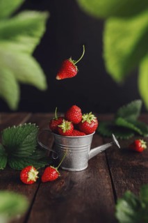 Fresh wet sweet strawberries levitation in watering can on wooden background table, black wall,