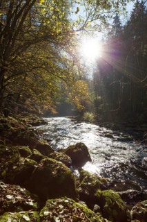 Fluss Ilz im Bayerischen Wald, Fluss Ilz im Bayerischen Wald