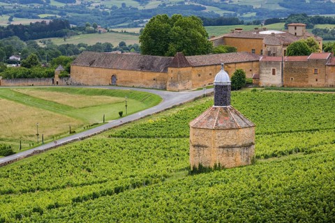 Bagnols village and landscape, Beaujolais, France, Europe