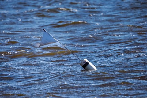 Employees of the Wisconsin Department of Natural Resources, DNR, set fish traps and mark them with