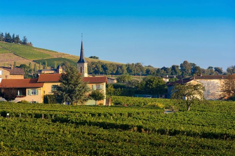Village of Odenas at sunrise, Beaujolais land, France, Europe