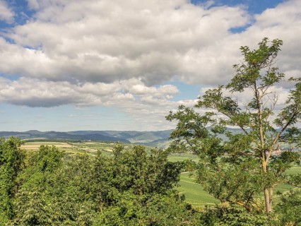 A landscape with dense clouds and sunny sections, trees in the foreground and mountains in the