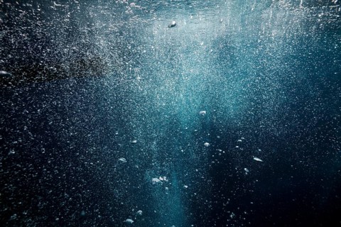 Rising air bubbles, island Vis, Mediterranean Sea, Croatia, Europe