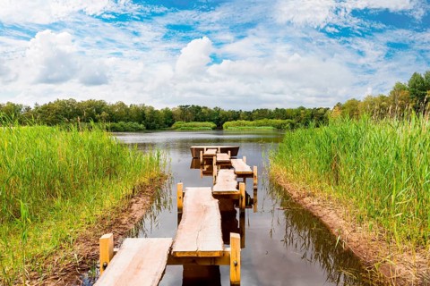 A footbridge leading to the lake, Burgwedel, Lower Saxony